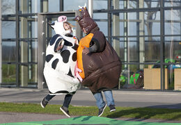 Bestel opblaasbare sumo pakken in thema Koe & Stier voor zowel jong als oud. Koop opblaasbare sumo pakken online bij JB Inflatables Nederland