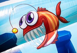 Koop een groot opblaasbaar open bubble park in seaworld thema voor kids. Bestel opblaasbare springkastelen bij JB Inflatables Nederland