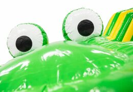 Koop een ruim kruiptunnel krokodil springkussen voor kids. Bestel springkussens online bij JB Inflatables Nederland