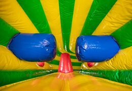 Play and fun leeuw kruiptunnel springkussen kopen voor kinderen. Bestel springkussens online bij JB Inflatables Nederland