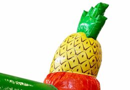 Overdekt slidebox Hawaii springkasteel met glijbaan kopen voor kids. Bestel springkastelen online bij JB Inflatables Nederland