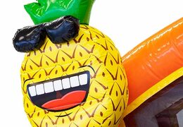 Koop opblaasbaar multiplay springkasteel in  flamingo thema met koppelbare badjes voor kinds bij JB Inflatables Nederland. Bestel springkastelen online bij JB Inflatables Nederland