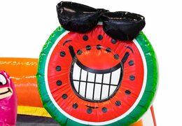 Splashy slide flamingo springkussen bestellen bij JB Inflatables bij JB Inflatables Nederland. Koop springkussens online bij JB Inflatables Nederland