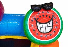 Bestel opblaasbaar mini splash bounce springkussen in flamingo thema met of zonder bad voor kids. Koop springkussens online bij JB Inflatables Nederland 