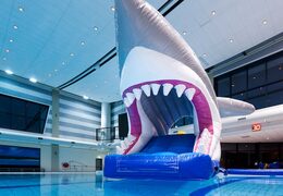 Opblaasbare waterstormbaan huren in haai thema voor kinderen