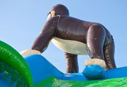 Super springkasteel overdekt kopen met vrolijke animaties in jungle thema voor kinderen. Koop springkastelen online bij JB Inflatables Nederland