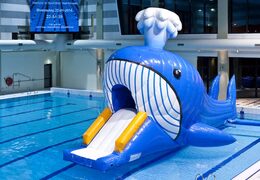 Opblaasbare waterstormbaan huren met grote walvis voor kinderen