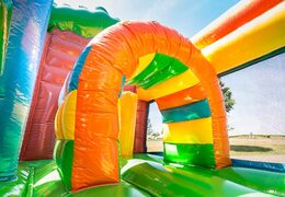 Middelmatig opblaasbare springkussen in fairytale thema met glijbaan kopen voor kinderen. Bestel opblaasbare springkussens online bij JB Inflatables Nederland