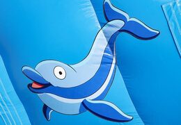 Haal uw opblaasbare dolfijn glijbaan met de vrolijke kleuren, 3D-objecten en leuke print op de zijwand voor kinderen. Bestel opblaasbare glijbanen bij JB Inflatables Nederland