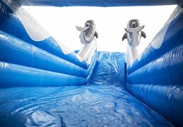 Haal uw opblaasbare dolfijn glijbaan met de vrolijke kleuren, 3D-objecten en leuke print op de zijwand nu online. Bestel opblaasbare glijbanen bij JB Inflatables Nederland