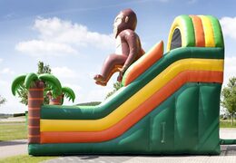 Gorilla thema multifunctionele opblaasbare glijbaan met een plonsbad, indrukwekkend 3D object, frisse kleuren en de 3D obstakels bestellen voor kids. Koop opblaasbare glijbanen nu online bij JB Inflatables Nederland
