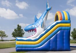 Multifunctionele opblaasbare glijbaan in thema haai met een plonsbad, indrukwekkend 3D object, frisse kleuren en de 3D obstakels kopen voor kids. Bestel opblaasbare glijbanen nu online bij JB Inflatables Nederland