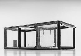 Opblaasbare carcapsule om voertuigen in te stallen kopen