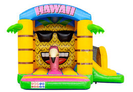 Voorzijde van bouncy box in hawaii thema met flamingo en ananas