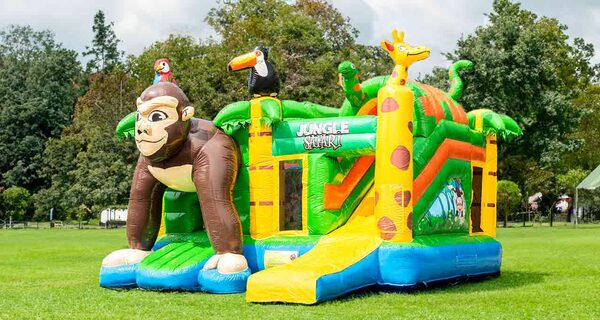 Banner van een blog over Jungle springkussens