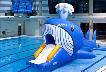Opblaasbare waterstormbaan huren met grote walvis voor kinderen