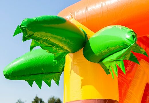 Multiplay overdekt piraat springkussen met een glijbaan bestellen voor kids. Koop springkussens online bij JB Inflatables Nederland