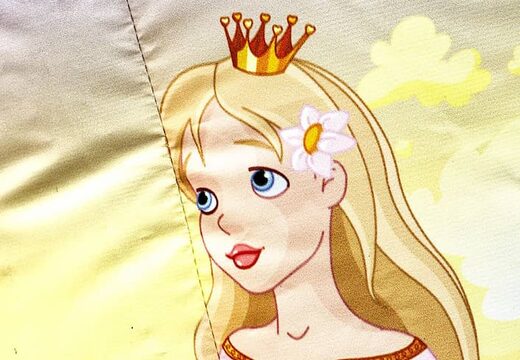 Klein springkussen overdekt kopen in prinses thema voor kinderen. Bestel springkussens online bij JB Inflatables Nederland