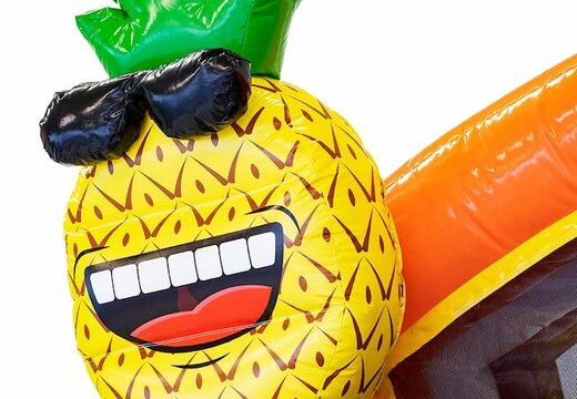 Koop opblaasbaar multiplay springkasteel in  flamingo thema met koppelbare badjes voor kinds bij JB Inflatables Nederland. Bestel springkastelen online bij JB Inflatables Nederland