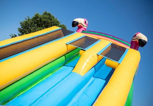 Bestel Drop & Slide Jungle springkasteel met dubbele glijbaan voor kinderen. Koop opblaasbare springkastelen online bij JB Inflatables Nederland
