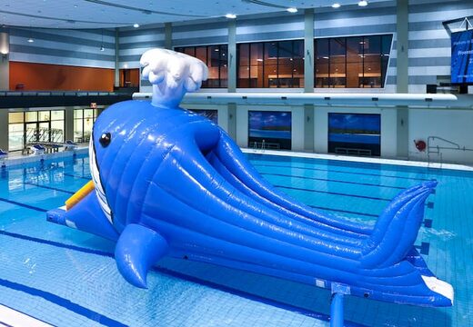 Opblaasbare waterstormbaan huren met grote walvis voor kinderen