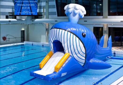 Opblaasbare waterstormbaan huren met grote walvis voor kinderen