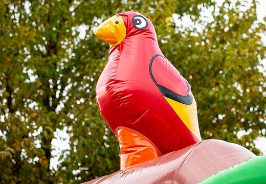 Bestel opblaasbare slide combo piraat luchtkussen voor kinderen. Opblaasbare luchtkussens met glijbaan te koop bij JB Inflatables Nederland